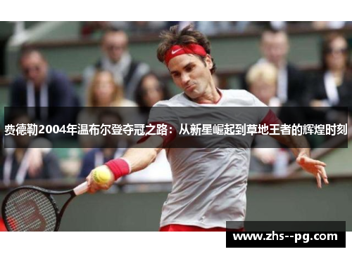 费德勒2004年温布尔登夺冠之路：从新星崛起到草地王者的辉煌时刻